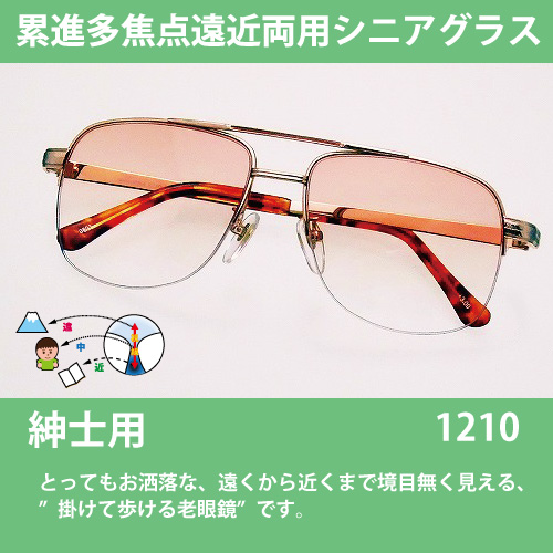 �I�V�����Ȗڌ������o�I�i�C���[���^�C�v�E�t�@�b�V�����V�j�A�O���X(1210)